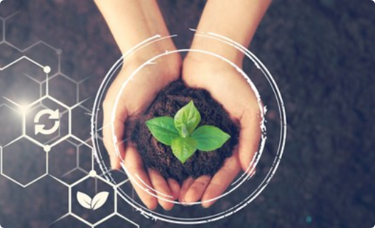 Social Responsibility